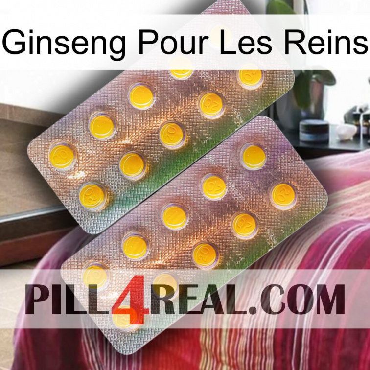 Ginseng For Kidney new10